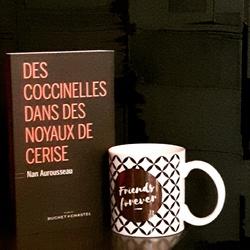 Des coccinelles dans des noyaux de cerise de Nan Aurousseau