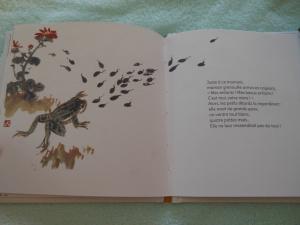 Ma petite bibliothèque chinoise – Lu Bing, Tian Yuan,Zhu Zanling et Chen Qui Chao