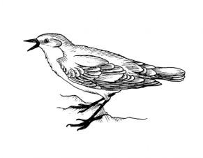 Les Pages du Serpent, Livre 1