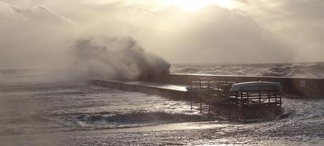 Haïkus 29 : contre les vents et marées