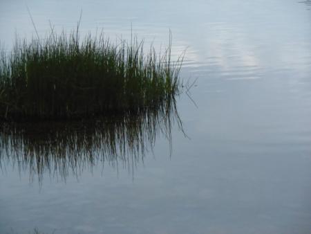 Il était une île… par Claude-Andrée L’Espérance