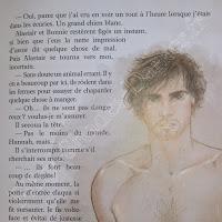 'Les étoiles de Noss Head, tome 1 : Vertige' de Sophie Jomain - version illustrée 'Les étoiles de Noss Head, tome 1 : Vertige' de Sophie Jomain - version illustrée