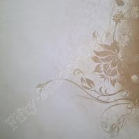 'Les étoiles de Noss Head, tome 1 : Vertige' de Sophie Jomain - version illustrée 'Les étoiles de Noss Head, tome 1 : Vertige' de Sophie Jomain - version illustrée