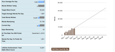 Je participe au NaNoWrimo !