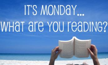 Afficher l'image d'origine