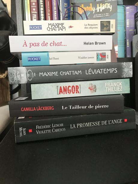 Cette année, je suis raisonnable et je me fixe des objectifs !