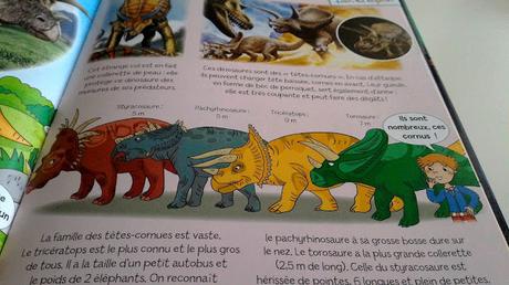 [ Les lecteurs en herbe ] Collection pour les enfants : Les dinosaures de Lucile Ahrweiller et Emmanuelle Lepetit