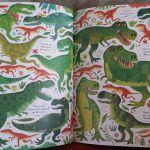 Kirsteen Robson / Cherche et trouve : Les dinosaures