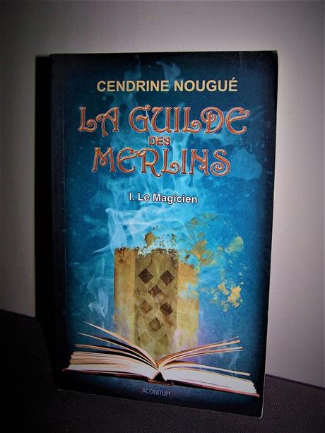 La guilde des Merlins "Tome I - Le Magicien&quot;
