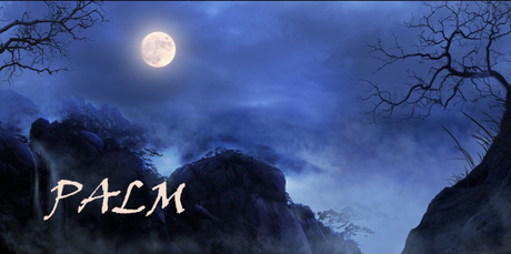 PALM #6 - Avril 2017