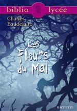 Les 10 lectures interdites