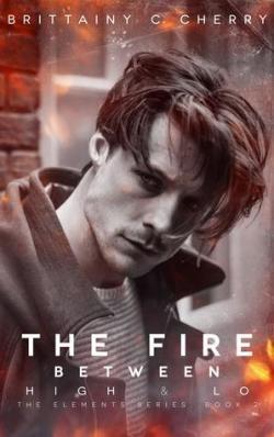 The element, Livre 2 : The Fire de Brittainy C. Cherry