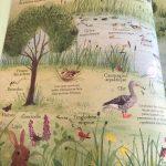 Minna Lacey / La Nature