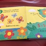 Sam Taplin / Petites soustractions dans le jardin