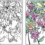 Lesley Sims / Le jardin des fées Lesley Sims / Le jardin des fées