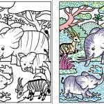 Sam Taplin / La jungle