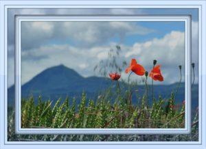 clé 1 : Avez-vous trouvé la clé du bonheur ?