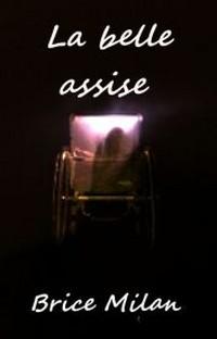 La belle assise, un roman de Brice Milan