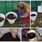 Abigail Wheatley / Je cultive mon jardin