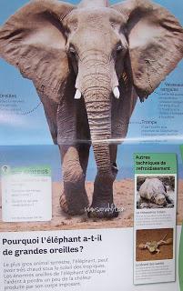 L’encyclopédie des animaux