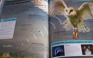 L’encyclopédie des animaux