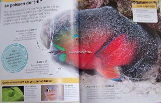 L’encyclopédie des animaux