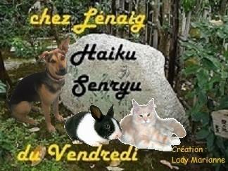 Haïkus 40 : les animaux de compagnie Haïkus 40 : les animaux de compagnie