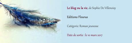 Le blog ou la vie ⋆ Sophie DE VILLENOISY