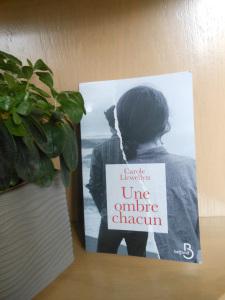 Une ombre chacun – Carole Llewellyn