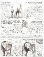 La longue marche des éléphants - Troubs et Nicolas Dumontheuil