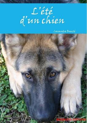 #45 Eté d'un chien