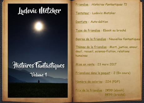 Histoires Fantastiques T1 - Ludovic Metzker
