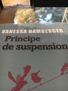 Principe de suspension, Vanessa Bamberger