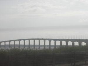 Haïkus 48 : des ponts à traverser… ou pas !