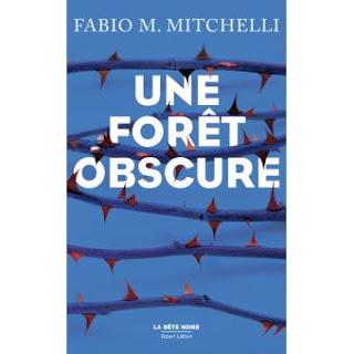 Une forêt obscure - Fabio M. Mitchelli
