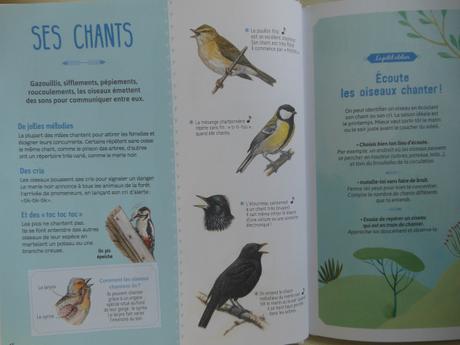 Le livre aux oiseaux – Nathalie Tordjman, Judith Gueyfier et Julien Norwood