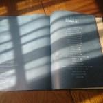 Sandra Lebrun / Shawn Mendes : l’album non officiel