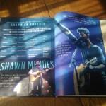 Sandra Lebrun / Shawn Mendes : l’album non officiel