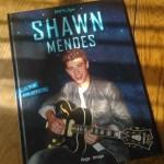 Sandra Lebrun / Shawn Mendes : l’album non officiel