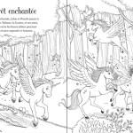 Lesley Sims & Zanna Davidson / Les poneys fées