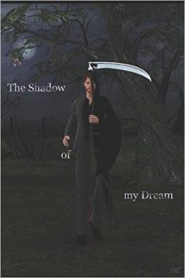 The shadow of my dream