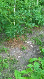 Tout, tout, tout, je vous dirai tout sur moi !