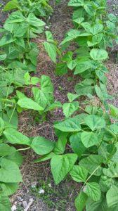 Tout, tout, tout, je vous dirai tout sur moi !