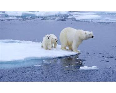 DTPE 2: changement climatique, récits d'artistes