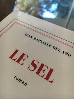 Le sel, Jean-Baptiste del Amo