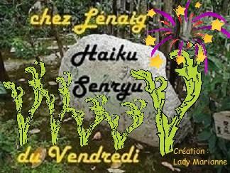 Haïkus 51 : les algues sur nos plages, pas que…