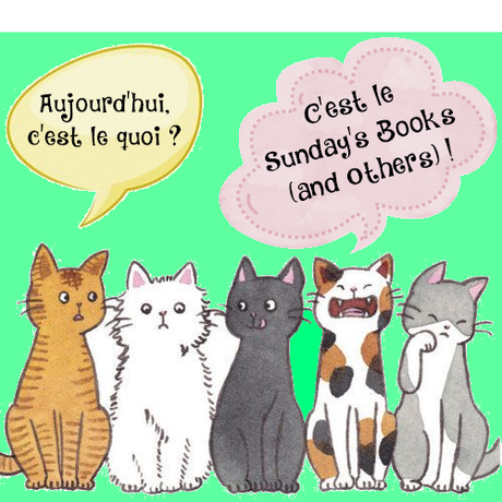 sundays books and others logo