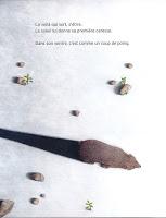 Les lectures de Charlotte (41) : L’ourse - José Ramon Alonso et Lucia Cobo