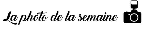 La photo de la semaine (12)