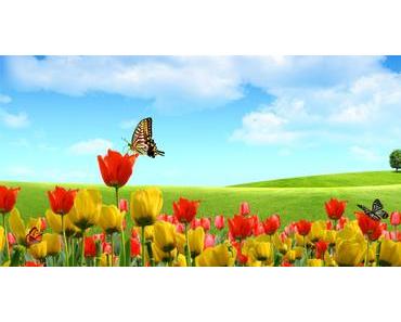 Songe a 9 ans ! Depuis quand connaissez-vous le webzine ?